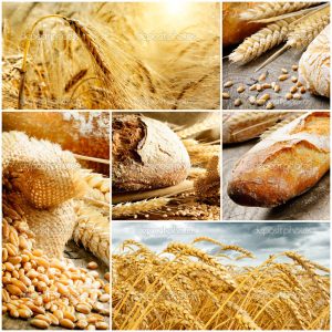 Set of traditional bread, wheat and cereal.Collage